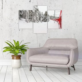 Tablou - Tren într-un peisaj înzăpezit (90x60 cm)