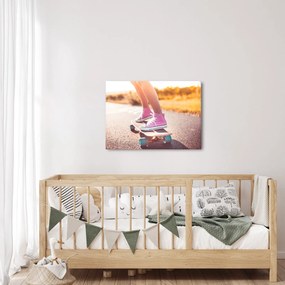 Tablou cu scateboard (70x50 cm)