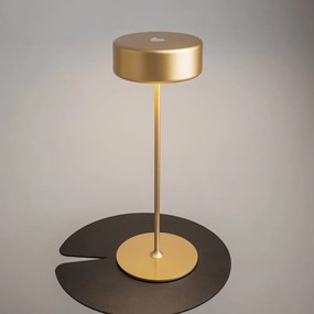 Lampa portabila cu baterii AI design auriu