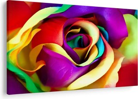 Tablou - Trandafir colorat (90x60 cm)