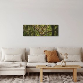 Tablou cu copaci (cu ceas) (90x30 cm)