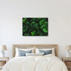 Tablou cu frunze Monstery (70x50 cm)