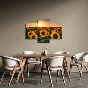 Tablou - Floarea soarelui (90x60 cm)