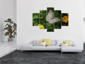 Tablou - fluture alb (150x105 cm)