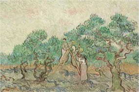 Tablou - Vincent van Gogh, The Olive Orchard, reproducere (90x60 cm)