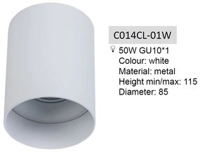 Spot aplicat de tavan/plafon Alfa MYC014CL-01W