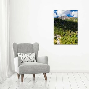 Fotografie imprimată pe sticlă Marine ochi Tatry