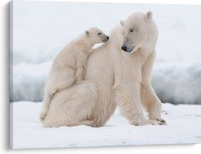 Tablou - Urs polar (70x50 cm)
