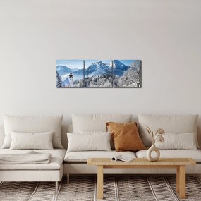 Tablou - O privire asupra peisajului de iarnă (cu ceas) (90x30 cm)