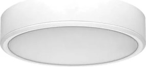 Plafoniera LED moderna Lauri D-21,5cm alb