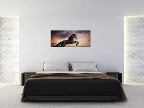 Tablou - Cai (120x50 cm)