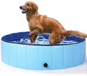 Piscina pentru caini