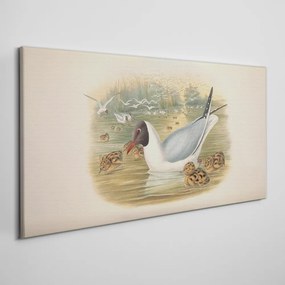 Tablou canvas Păsări Animale