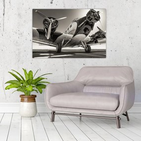 Tablou - Avioane istorice (90x60 cm)