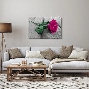Tablou - Trandafir roz cu tulpina verde (90x60 cm)