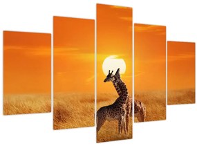 Tablou - Girafe în Parcul Național Serengeti (150x105 cm)