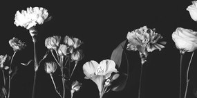 Tablou flori elegante alb-negru
