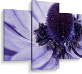 Tablou - Floare mov (90x60 cm)