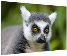 Tablou cu lemur (90x60 cm)