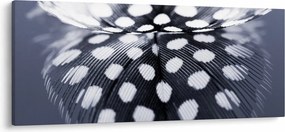Tablou - Pană (120x50 cm)