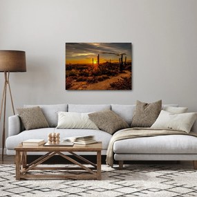 Tablou - Sfărșit de zi în deșertul Arizona (70x50 cm)