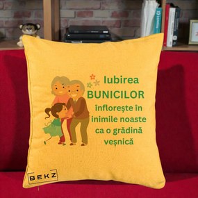 Cadou pentru Bunici - Perna Personalizata Bunicii Iubirea Infloreste cu Nepoata Teal, 40x40 cm, Galben, Husa Detasabila, Perna Inclusa, BEKZ®