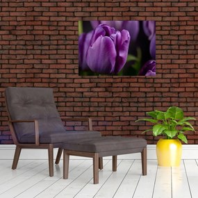 Tablou pe sticlă cu flori de lalele (70x50 cm)
