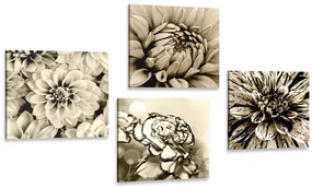 Set de tablouri flori în design sepia