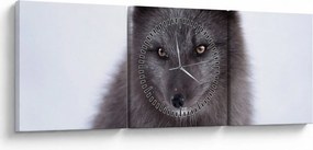 Tablou cu vulpe polară (cu ceas) (90x30 cm)