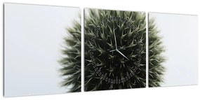 Tablou - Sfere de flori (cu ceas) (90x30 cm)