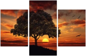 Tablou cu pomi și apus de soare (90x60 cm)