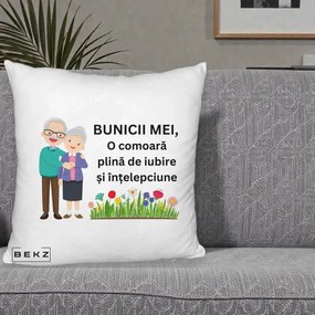 Cadou pentru Bunici - Perna Personalizata Bunicii Mei Comoara Cuplu Senior cu Flori Colorat, 40x40 cm, Alb Pufos, Husa Detasabila, Perna Inclusa, BEKZ®