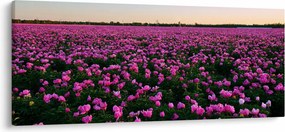 Tablou - Pajiștea cu lalele violet (120x50 cm)