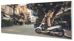 Tablouri acrilice Motociclete urbane de palmier de vară