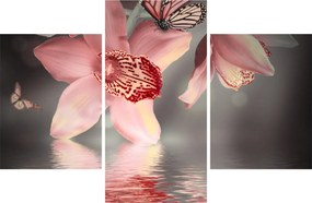 Tablou - Flori și fluture (90x60 cm)