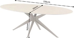 Masa ovala cu blat din ceramica TRAVERTIN 220cm