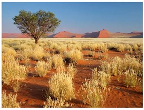 Fototapet - Desert landscape, Namibia