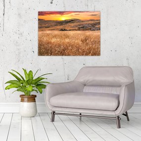 Tablou pe sticlă cu câmp (70x50 cm)