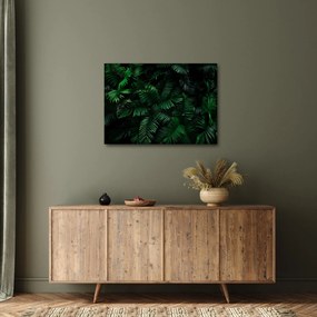 Tablou - Păpădii tropicale (70x50 cm)