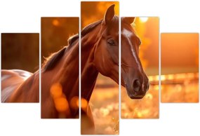 Tablou - Cal în apus de soare (150x105 cm)