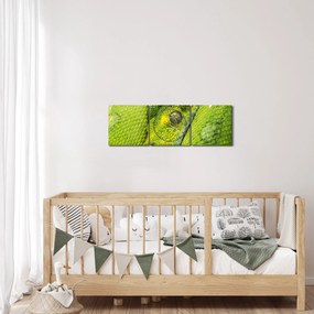 Tablou cu șarpe (cu ceas) (90x30 cm)