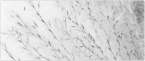 Tablou - Iarbă de pampas N⁰2 (120x50 cm)