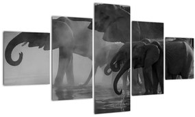 Tablou cu elefanți - albnegru (125x70 cm), în 40 de alte dimensiuni noi