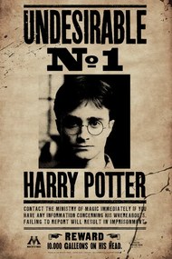 Poster de artă Harry Potter - Undesirable No 1, (26.7 x 40 cm)