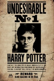 Poster de artă Harry Potter - Undesirable No 1