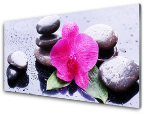 Tablou pe sticla Pietrele de flori Art Rosu Negru