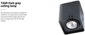 Spot aplicat / Plafoniera LED de exterior moderna IP54 TAMI gri inchis