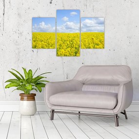 Tablou - Câmp galben (90x60 cm)