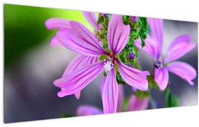 Tablou cu floarea detailat (120x50 cm)