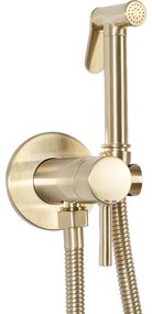 REA-B6311 -Baterie pentru bideu cu duș pentru instalare încastrată LUNGO auriu periat